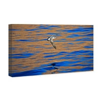 Wynwood Studio Sautical and Coastal Wall Art vászon nyomatok „Nyugati sirály, David Fleetham” Coastal - Kék, Fehér