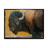 Védjegy képzőművészet' bölény portré III ' vászon művészet Chris Vest