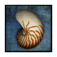 Védjegy Szépművészet 'Nautilus' vászon művészete, John W. Golden