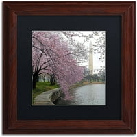 Washington Blossoms Cateyes, fekete matt, fa keret vászonművészete