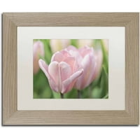 Védjegy képzőművészet 'rózsaszín tulipán Baronesse' vászon művészet Cora Niele, fehér matt, nyír keret