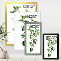 Designart 'ókori zöld levelek növények vii' hagyományos keretes művészeti nyomtatás