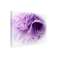 Eva Bane 'álmodozó Virágok Violet III' vászon művészet