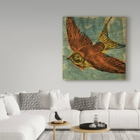 Védjegy Képzőművészet 'madárgyűjtő' vászon művészet, John W. Golden