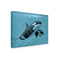 Védjegy Képzőművészet „Anya és fia Orcas” vászon művészete, Ron Parker