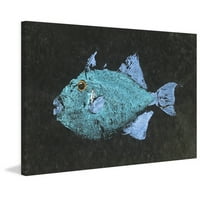 Marmont Hill Triggerfish Warren Sellers festés nyomtatása csomagolt vászonra