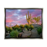 Stupell Industries rózsaszín napkelte száraz kaktusz növények tájfotózás szürke úszó keretes művészeti nyomtatási fal művészet