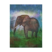 Védjegy képzőművészet 'Afrika elefánt' vászon művészet Greg Simanson