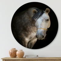DesignArt 'A fehér ló közelről szóló portréja' parasztház Circle Metal Wall Art - 11 -es lemez